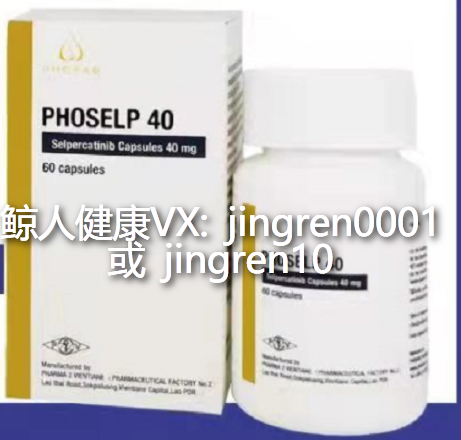 梦中的橄榄树，老挝塞尔帕替尼去哪里买？