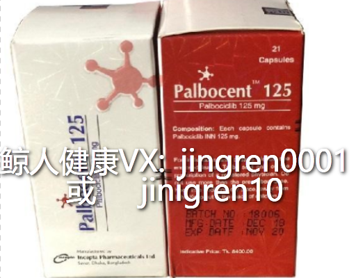 似曾相识燕归来，帕博西尼去哪里买